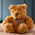 Zhu Zhu Warm Snuggles Brown Teddy Bear - Microwave Heatable Soft Toy Hottie