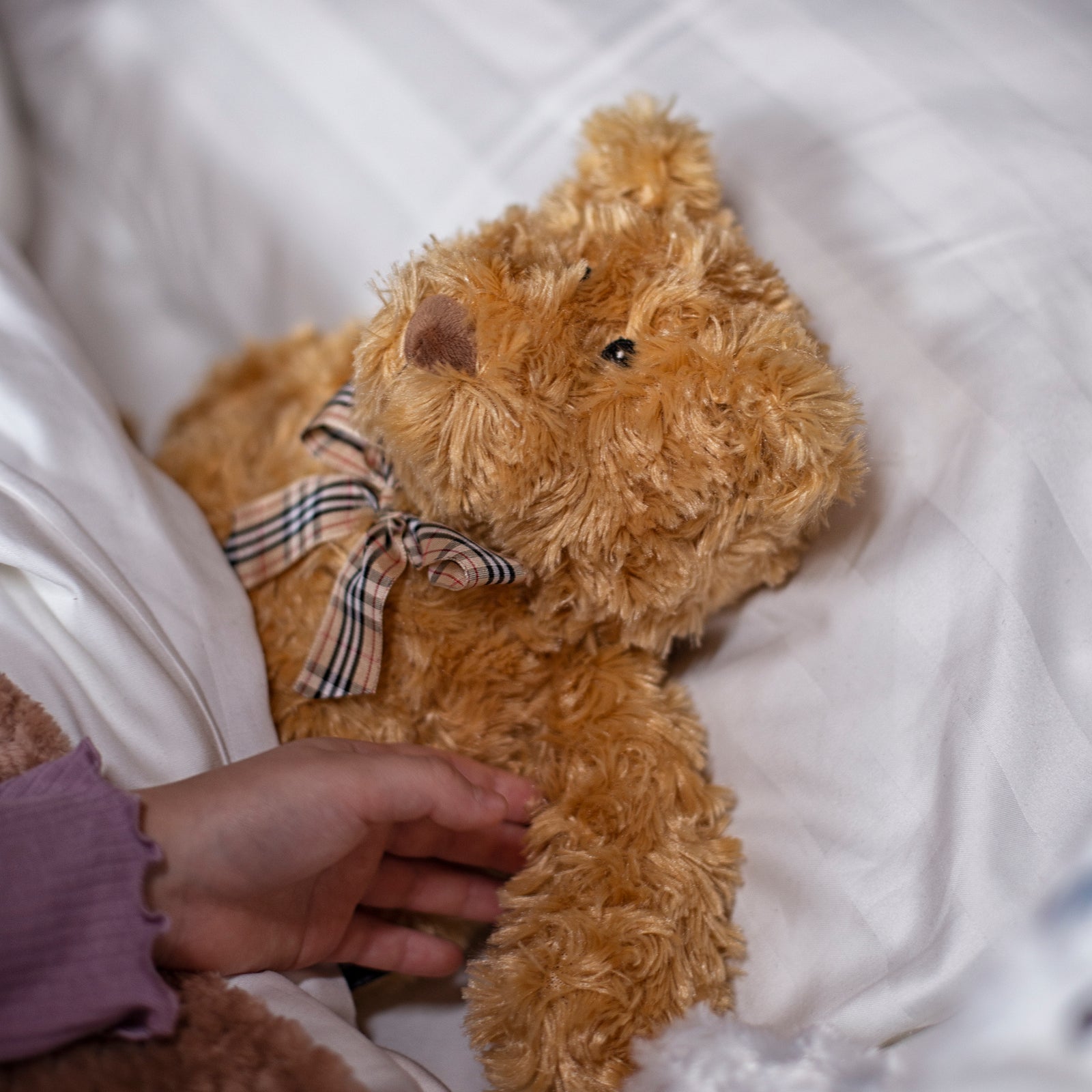 Zhu Zhu Warm Snuggles Brown Teddy Bear - Microwave Heatable Soft Toy Hottie