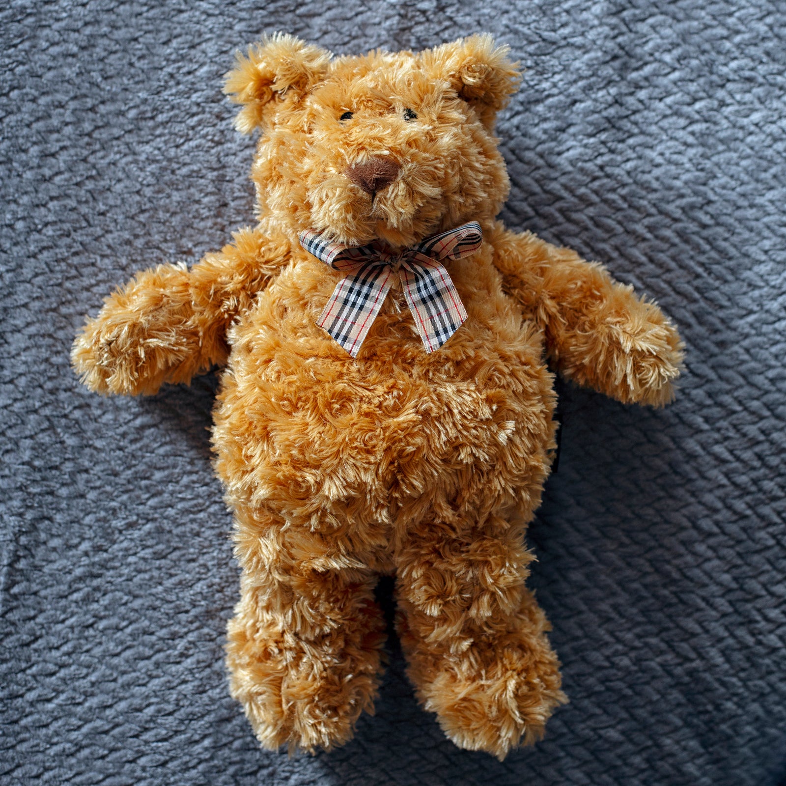 Zhu Zhu Warm Snuggles Brown Teddy Bear - Microwave Heatable Soft Toy Hottie