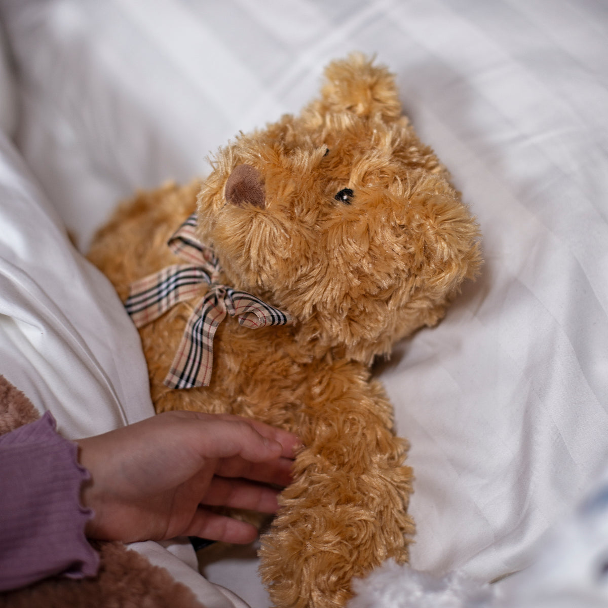 Zhu Zhu Warm Snuggles Brown Teddy Bear - Microwave Heatable Soft Toy Hottie